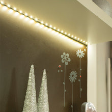 Charger l&#39;image dans la galerie, Ruban LED (kit complet) - 5m - 1000 lumens - Blanc
